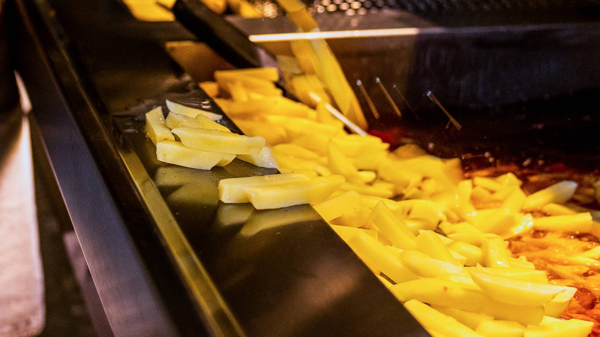 HV Erkend Friturist Privacy